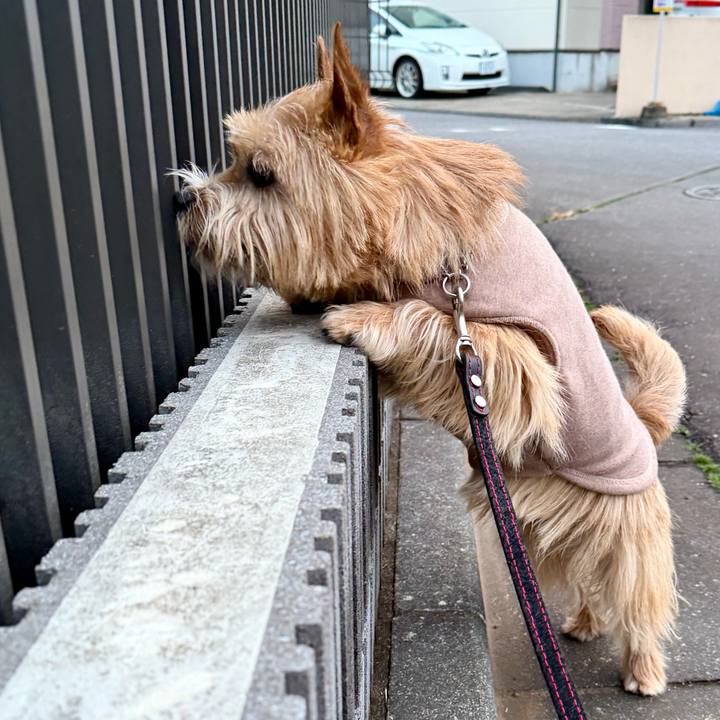 0be19cee d23c 404d 93e7 0111a8eb539e 1772227936057