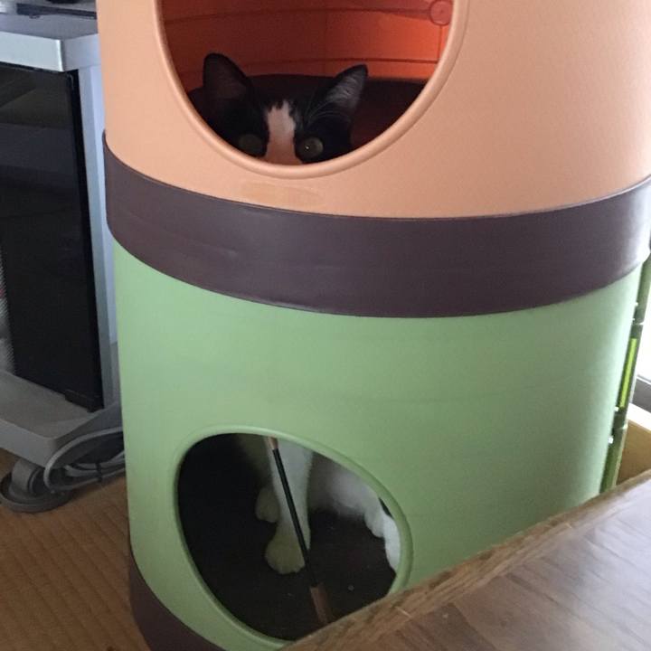 0be20012 8acb 4e98 9b70 108b99faccf7 1685510310071