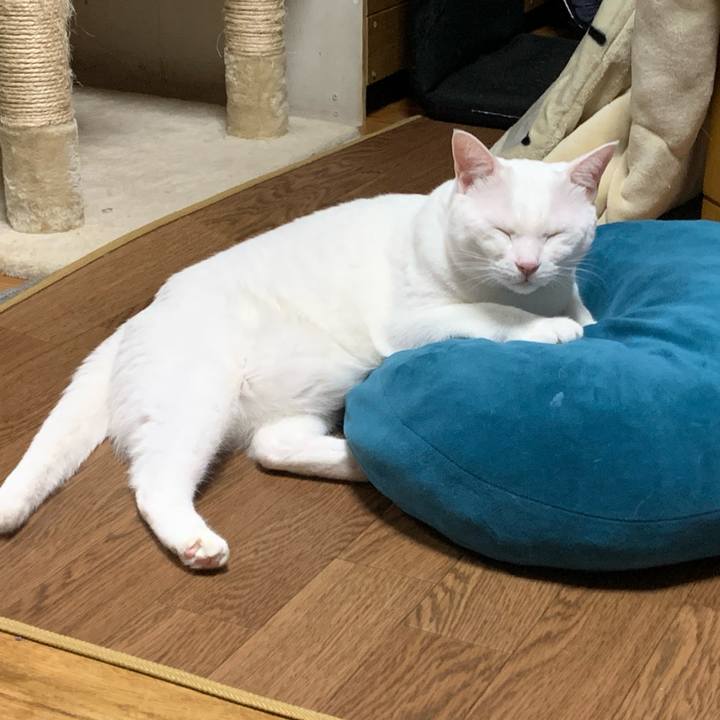 0be20897 de20 4fdc a604 617de1b22270 1573653405597