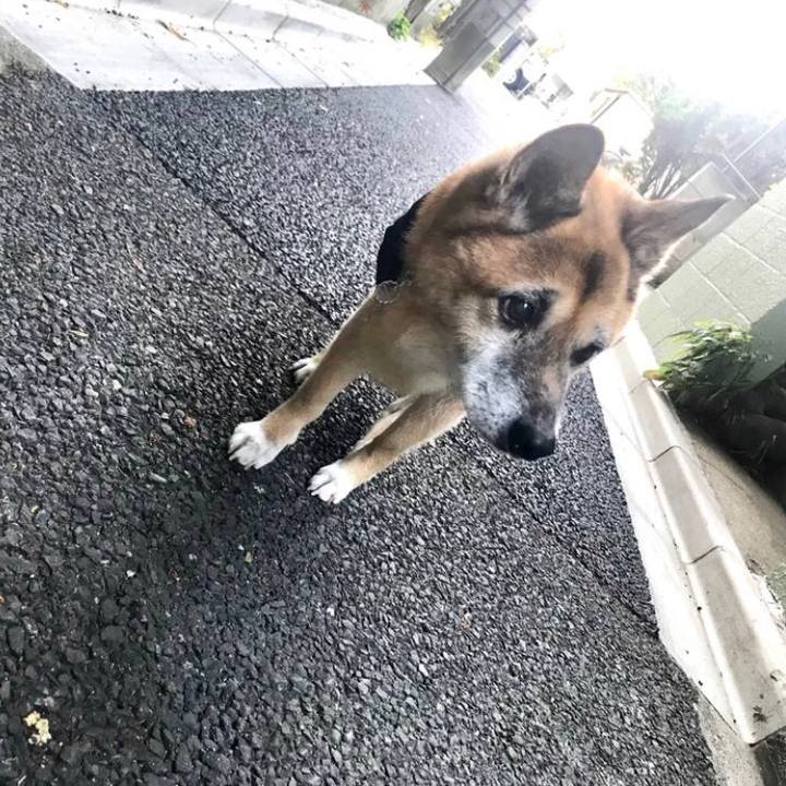 0be26b68 e95c 4bdd 8bff 9759524fd92b 1569183995857