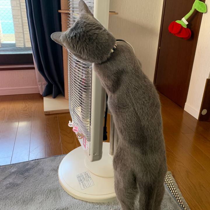 0be27fb9 0855 424a 8c68 5117268e9273 1637224421923