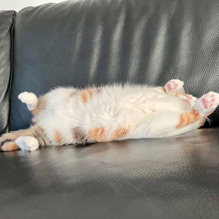 0be28229 9849 4134 89ff ff75aa6a4db8 1762573273108