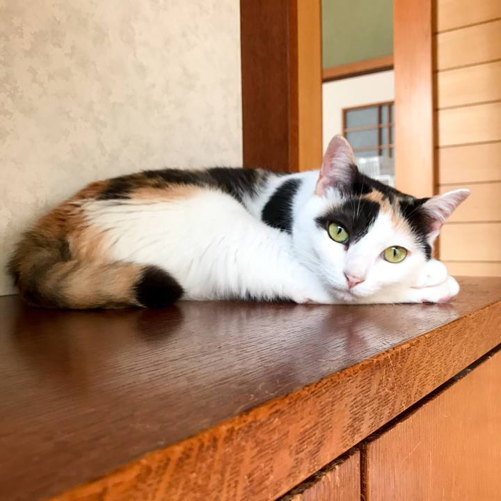 0be2bac8 e659 419c 98df f7f4aff2856f 1533256655751