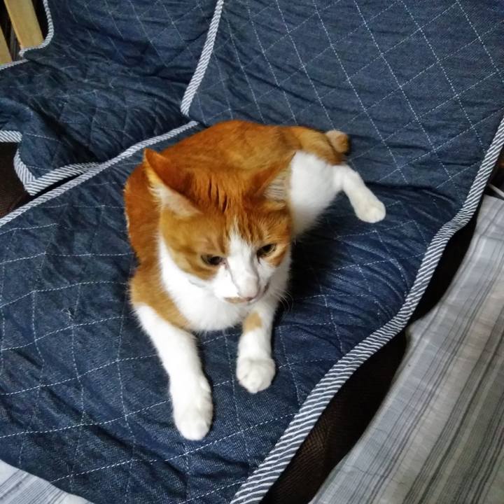 0be32f69 343d 4039 baa5 12f3276aeeab 1557663763952