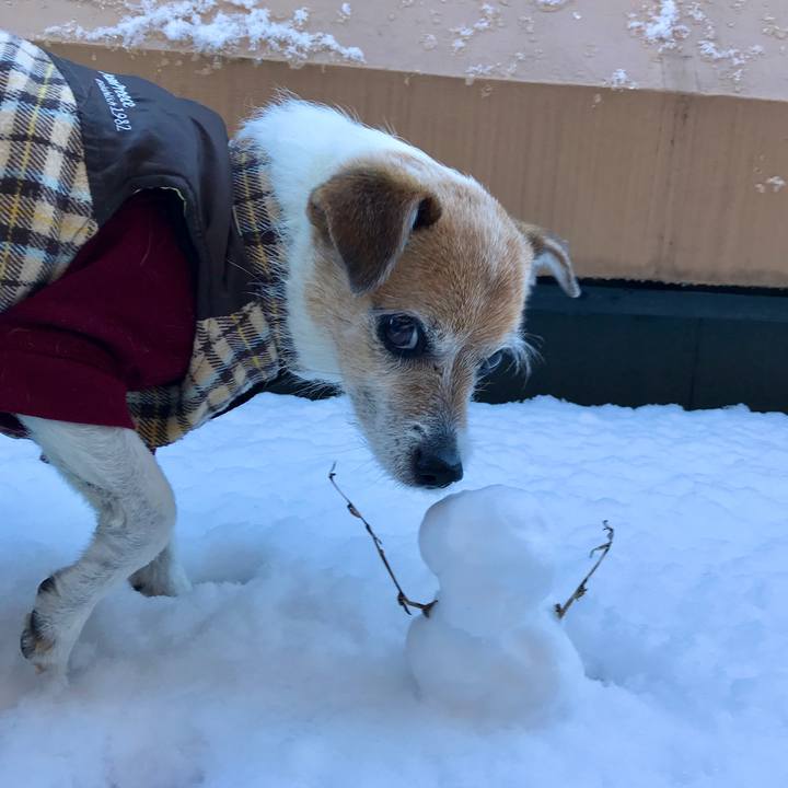 0be371c8 abda 43cd 8fc6 7f4ded218853 1641547825845