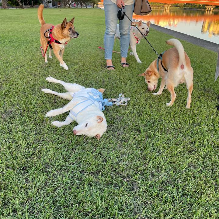 0be386e6 4c53 4122 a405 ece19f6c0df5 1663683107025