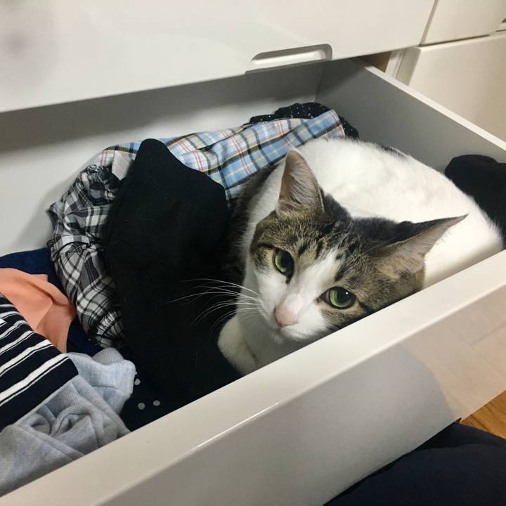 0be390aa 1fdb 4952 aa6c 916d899063a7 1510675017719