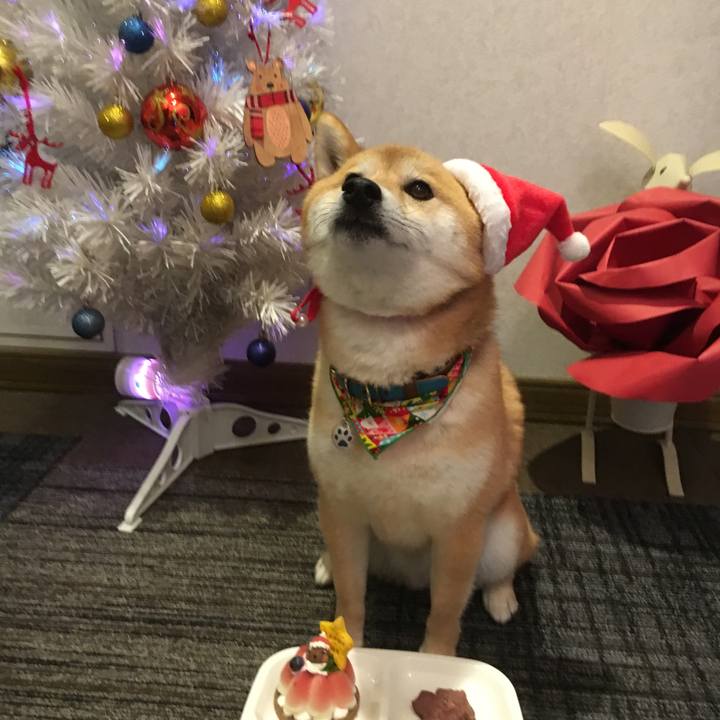 0be3b888 d402 4ef0 b3b9 9b5e690354ee 1545664209041