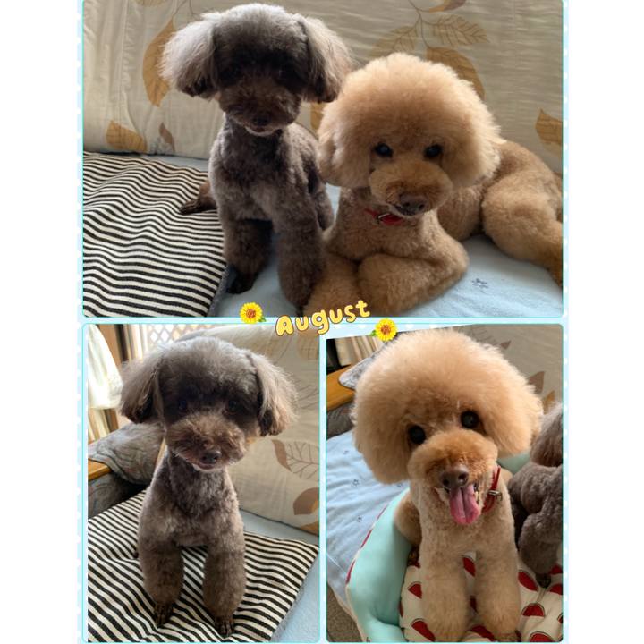 0be3e7dc 9c7f 470a 91b2 daa61ccb0371 1566800265306