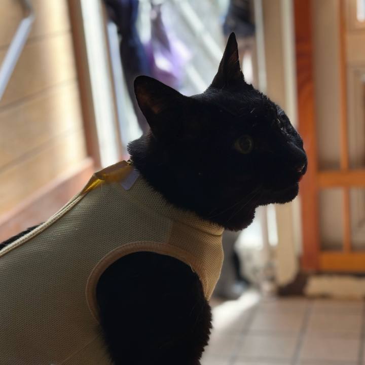 0be40465 4eb9 4898 88df 6b84d1589cb9 1718244092166