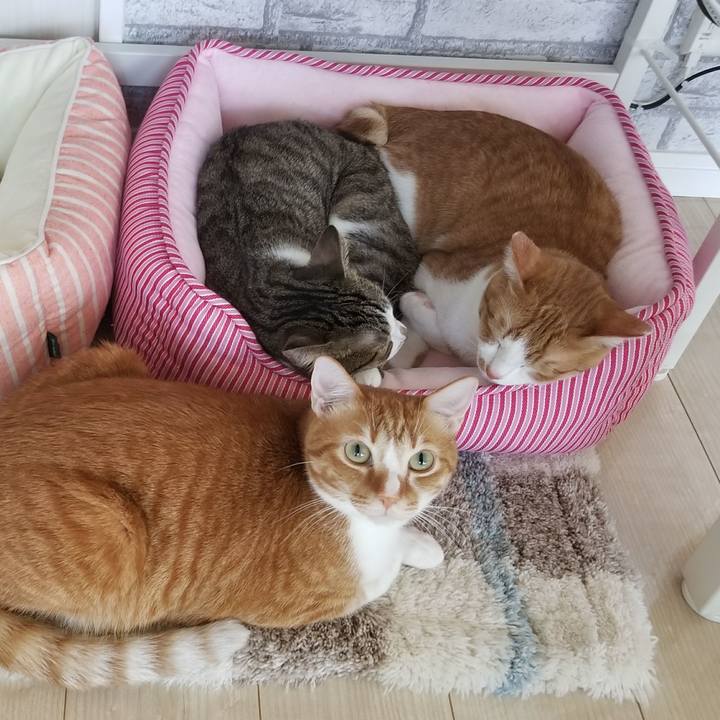 0be44395 9c96 4742 b346 faa9c871d9d7 1520325836229