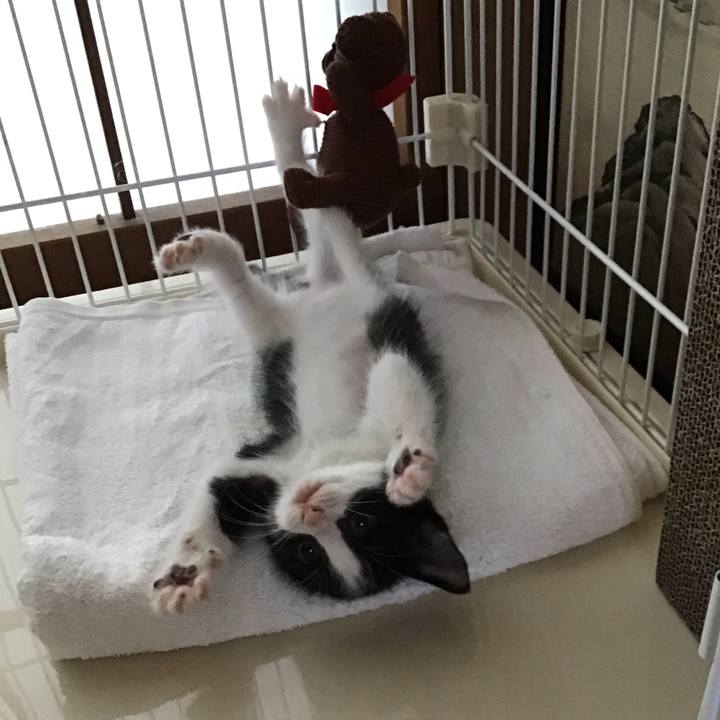 0be47bb8 38fb 4a7c 922e 5217f7a21741 1622541198405