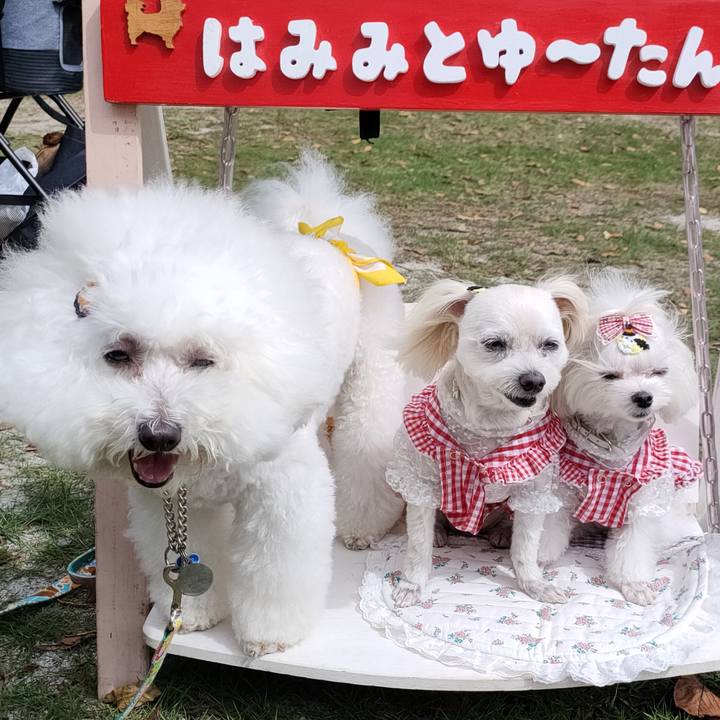 0be4ef05 57da 4886 ac33 faa166f6a15f 1763067046097