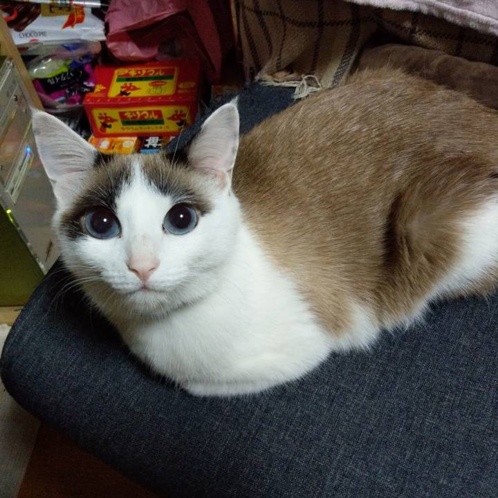 0be50ed6 7ce6 46ca 8499 b18e81fab5fc 1611199707975