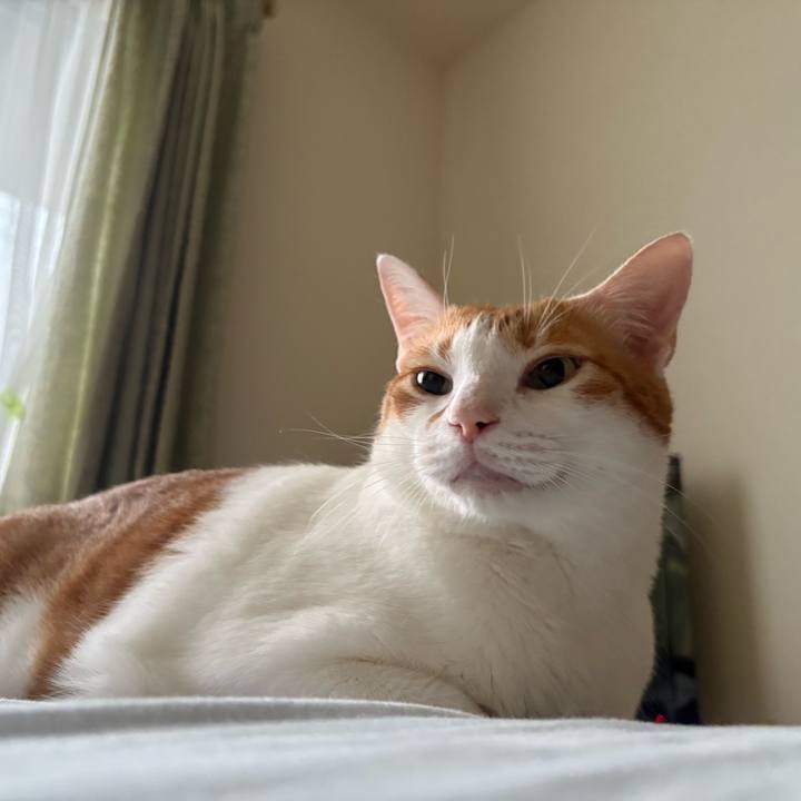 0be52785 e7a0 4f7a 92a6 c585dcdf9d2a 1759958758061