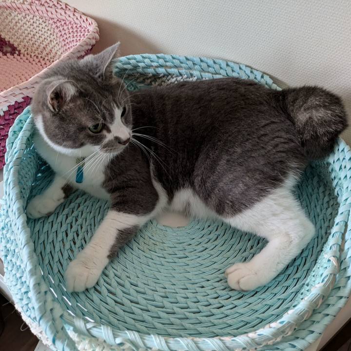 0be53561 8114 4524 9227 8f81bc22e532 1727956813548