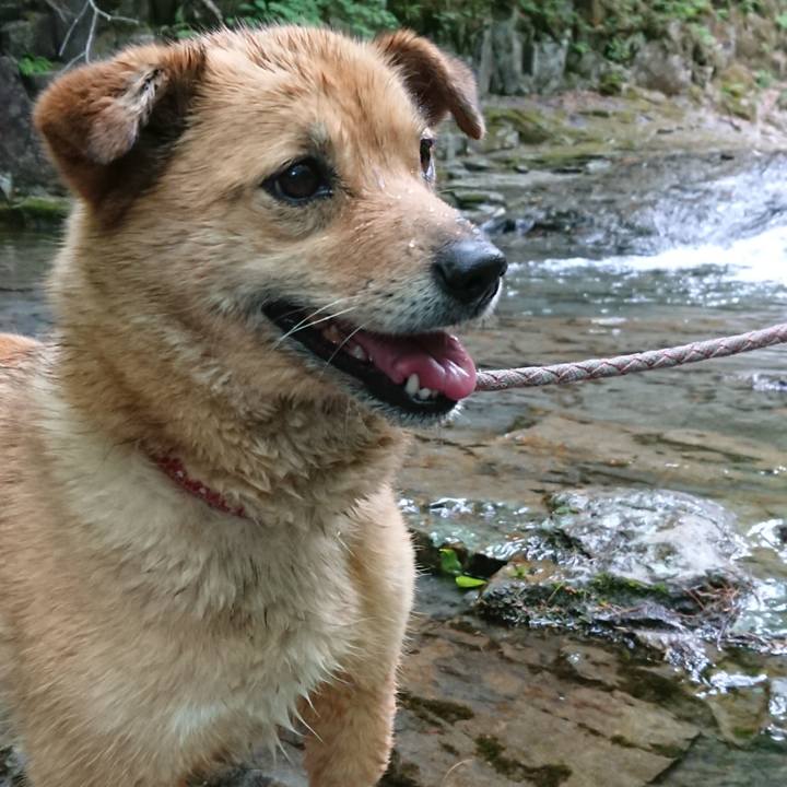 0be56069 5d7a 4ef0 bbf9 21c4f4337a34 1592643549567