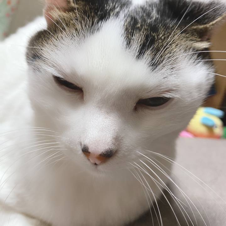 0be5894b 0e66 460a b35a 2a37bdbd8a09 1609929220435