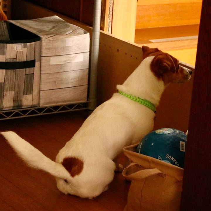 0be5aa75 99a1 4ee4 bf20 f3355ad64c37 1620441702479