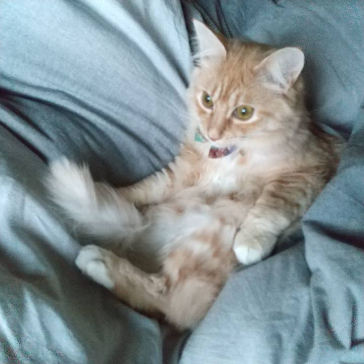 0be5d316 4fe2 4198 9690 6fa78ffd8571 1641942707575