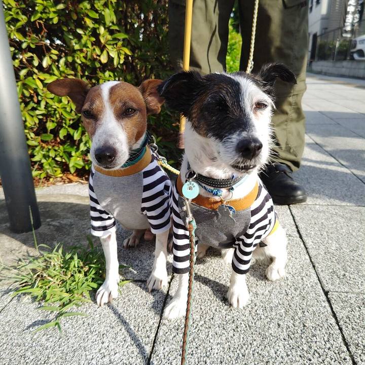 0be5e3d1 6dd9 4af6 8ccc 2cdbd81eef6a 1722118183914