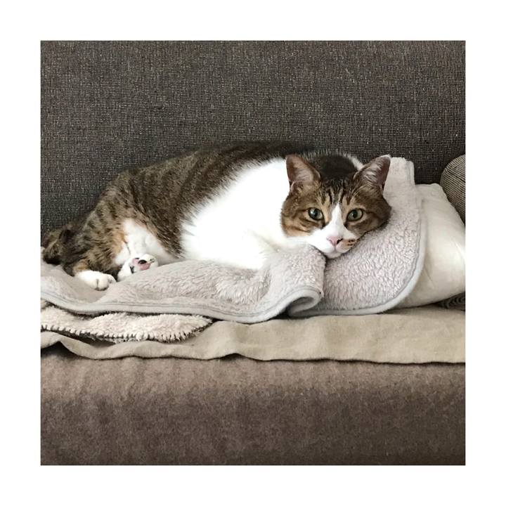 0be5fecb ad80 4dd5 894f 19f6ecae8d34 1652139738030