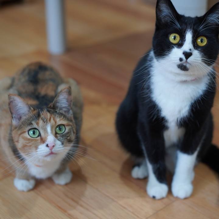 0be61f43 913b 4252 a5cc e8f3b0148216 1624937977868