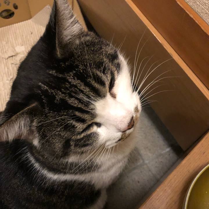 0be68bf9 aeb6 497e 8cc8 d2d5d6443cb1 1544865141879