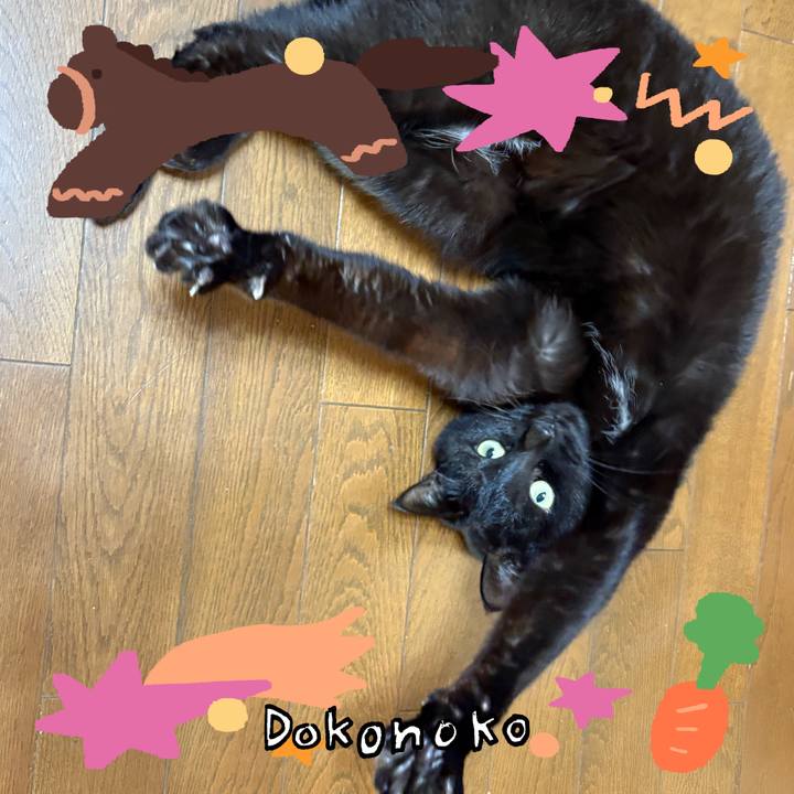 0be68cd7 2507 4a53 956c 9e7219d2ccb8 1771836159300