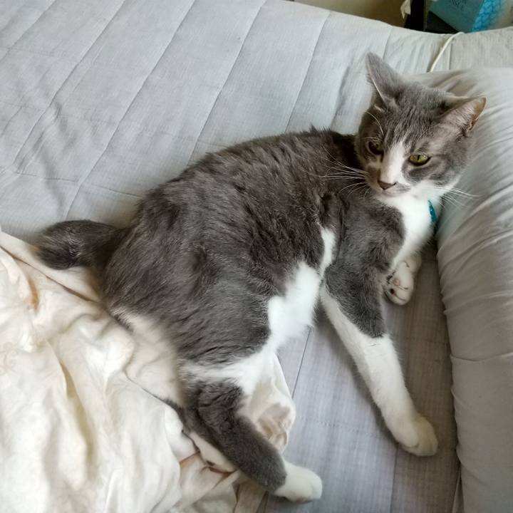 0be6ad4b b4dc 4106 8cc2 2cf698d30828 1619218263899