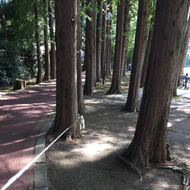 0be6b220 5ba4 4223 a561 86f38d86549d 1538896694499