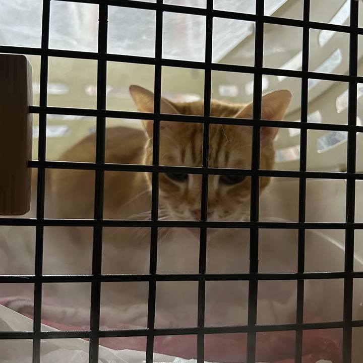 0be6e914 0664 4c4b 9c8d 3c8f9f4d1c72 1678016477048