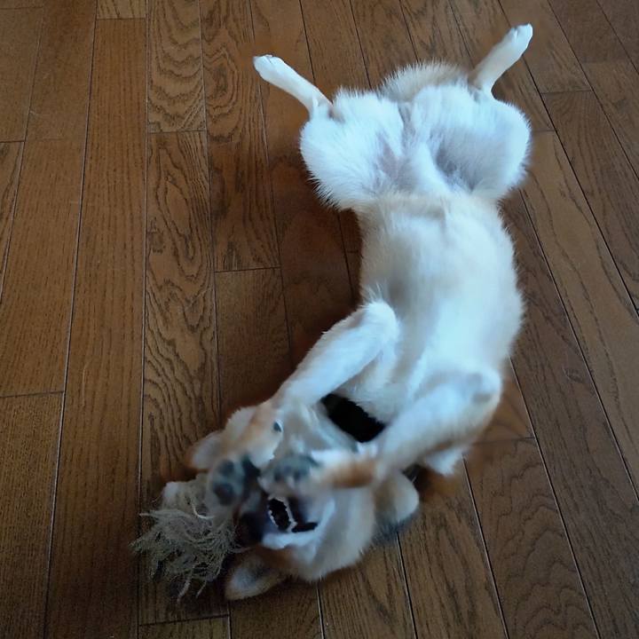 0be73a15 990a 4cc9 8bd0 b07d7f5f11a5 1623819173513