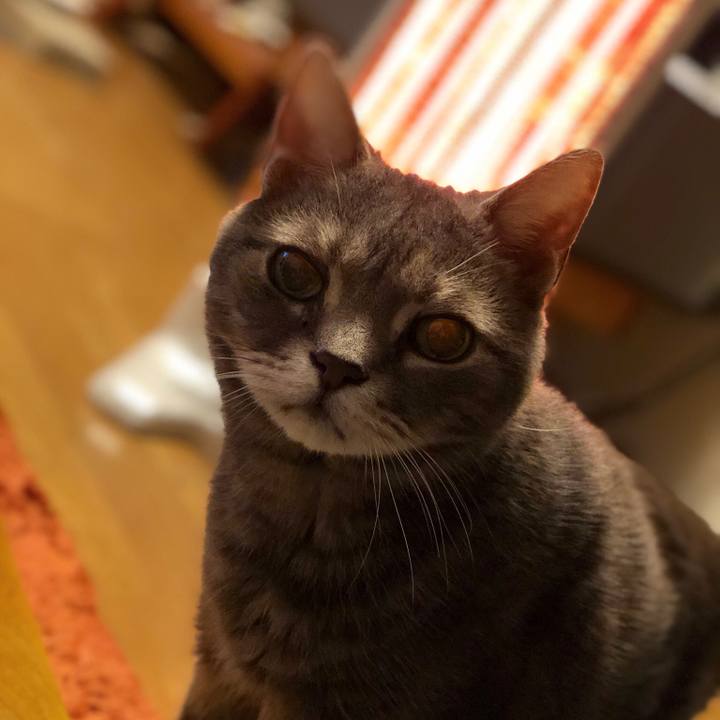 0be74627 a6e2 469e be57 97bc99676bda 1520695893735