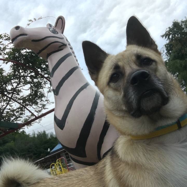 0be7502f d4f0 48e7 bb98 e75b826e0912 1508490838127