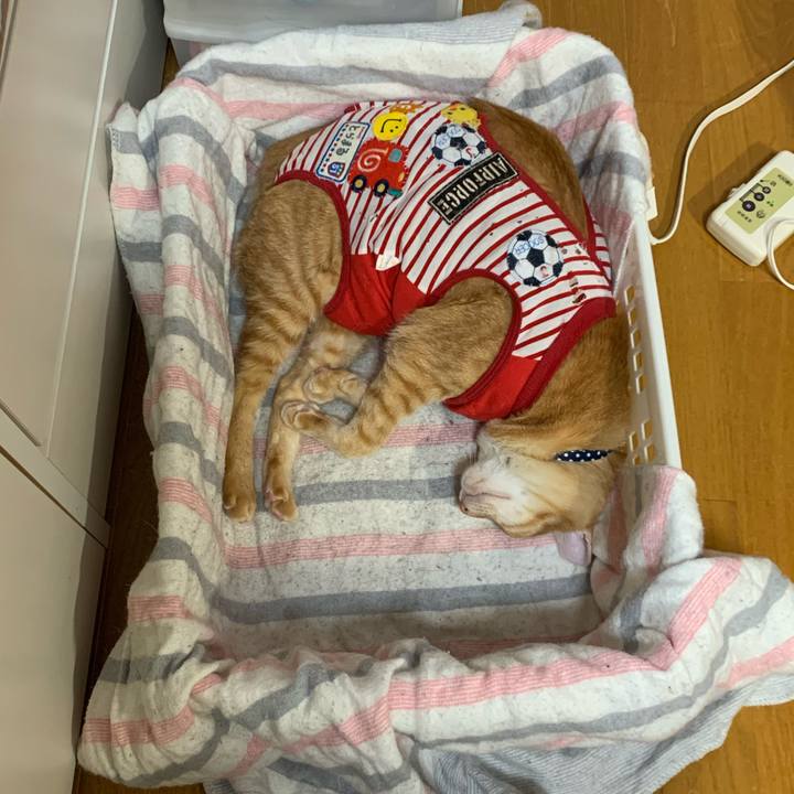 0be75a8a ac6f 4b38 90d4 fd03e0d64709 1582964775688