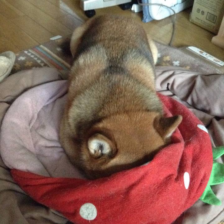 0be7654f 1f79 4ba0 8390 4bc6dac8227b 1549257267802