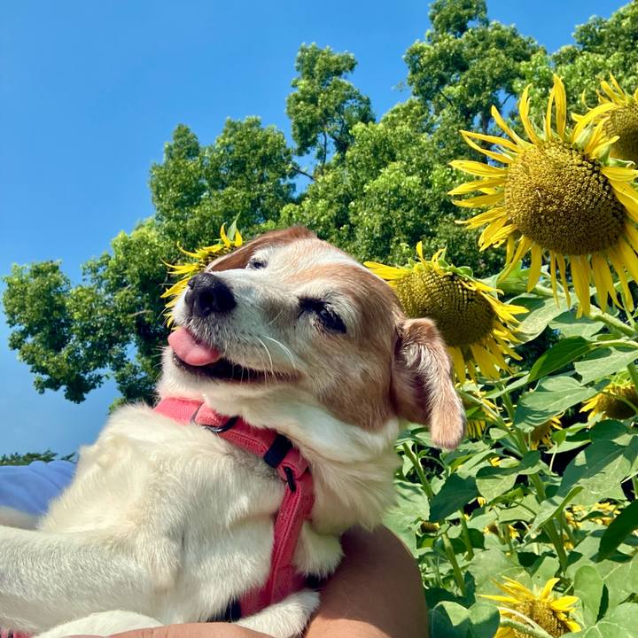 0be77ffa 31d7 4c6c 9842 280ff1bb6ac7 1754314073065