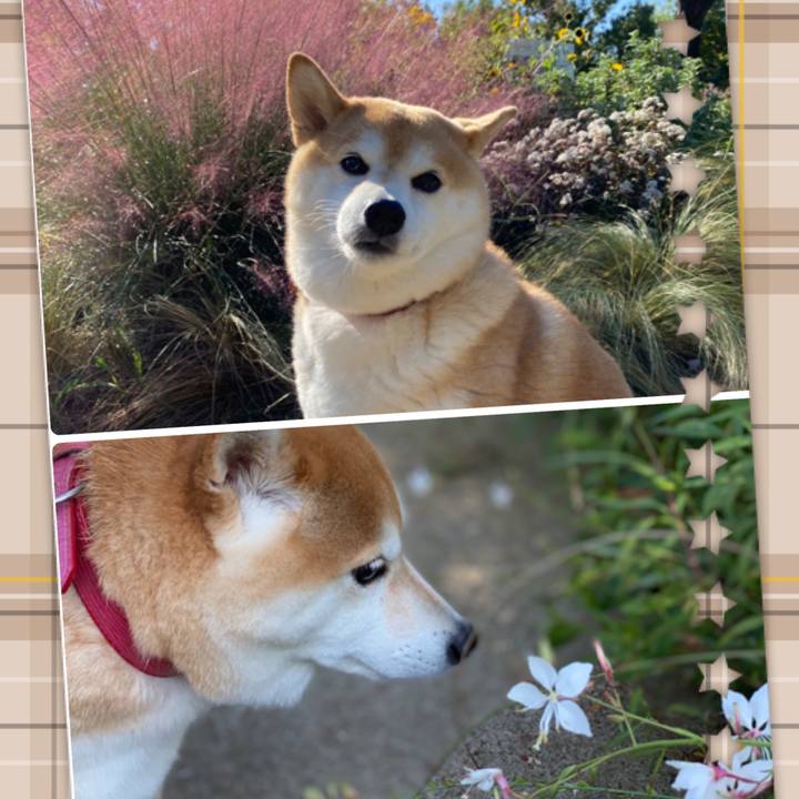 0be79df9 bf0b 4e8b a1a8 ee020a6b5d8a 1633224014966