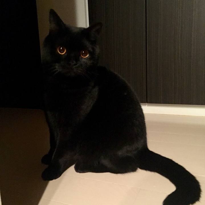 0be7a1e3 fcbb 42f2 8760 074ff140a572 1548337497309