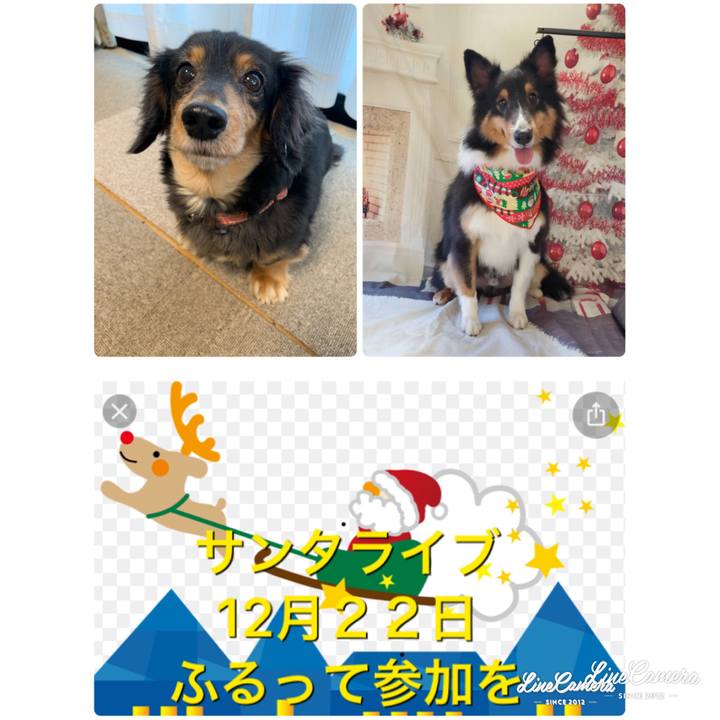 0be7a3fd 0930 473e 8f57 bc4e81798cda 1576448371597