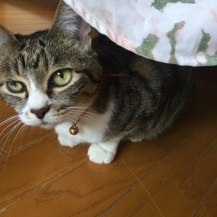 0be7bdc6 8f5d 432c 8094 3f6753ca7b18 1558754963035