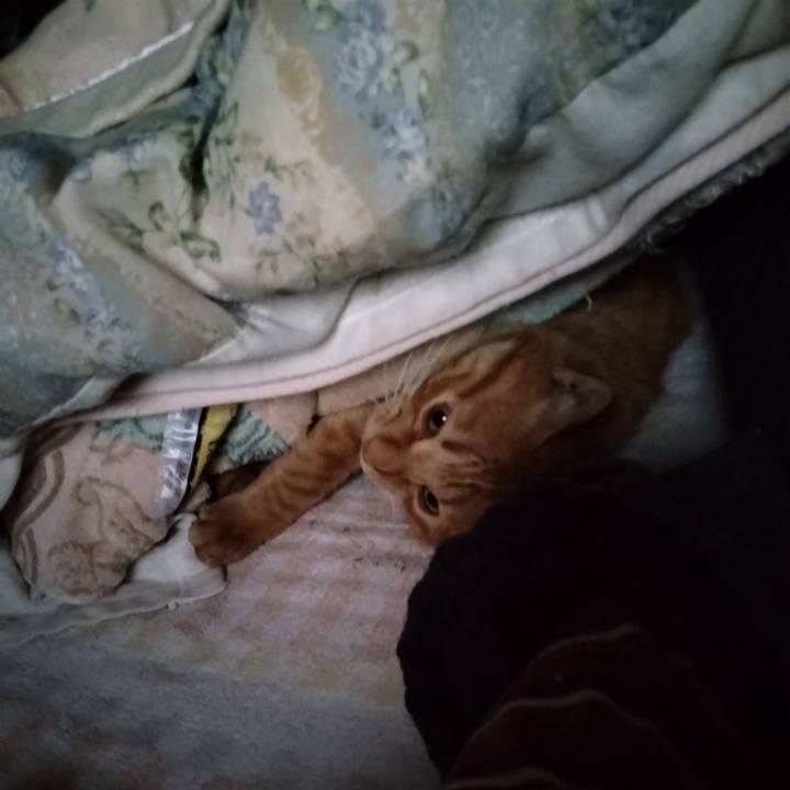 0be7e1e1 03ee 4e04 9520 71235e52db1d 1667685077852