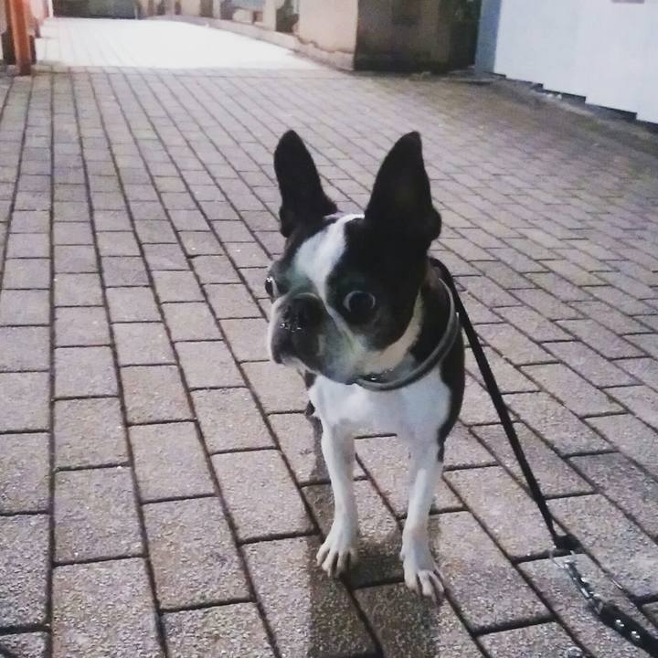 0be7fe19 ea4e 4cf9 b430 473ec60707c7 1530111815139