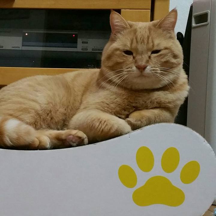 0be814c9 935a 468f 8cc8 ac5bdbf4755d 1514112546573