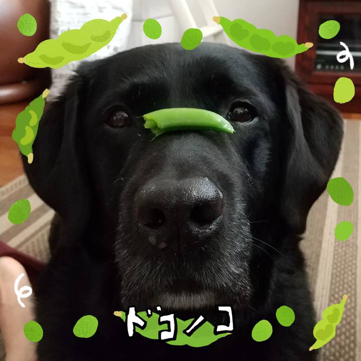 0be82a4e 387e 45fb bb42 76f9e7496c4b 1720764075566