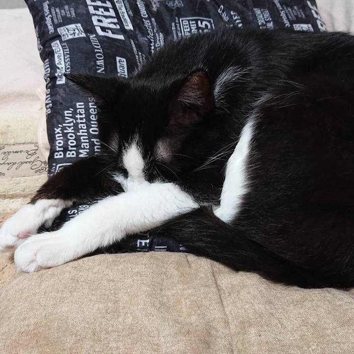 0be82e30 d403 43b1 a50d 096194470bfb 1560076131446