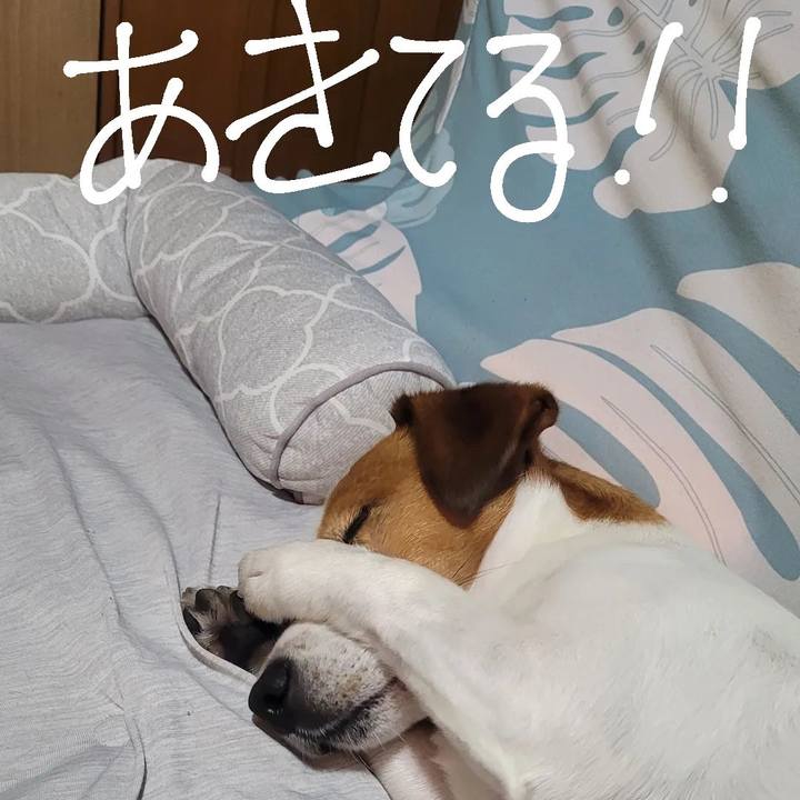 0be87497 bc6b 40cf b69c a2e992b1c3d2 1657926245046