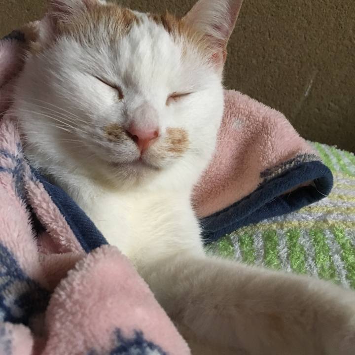 0be87847 92b1 46dd 9de2 41e6af8d8621 1546502006267