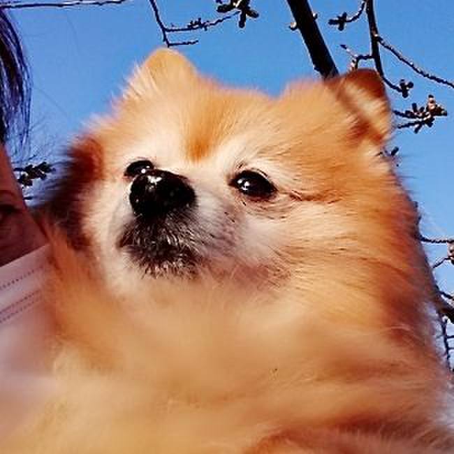 0be88e0b e3c2 457e 92b1 df85a9c96b6e 1523440173620